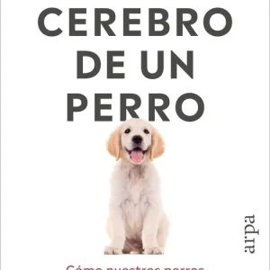 El cerebro de un perro 2026