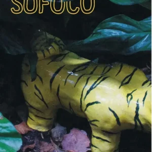 Sofoco Ortiz Gómez, Laura 2021
