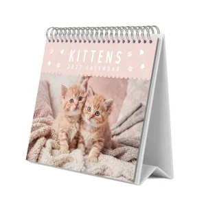 CALENDARIO DE ESCRITORIO 2027 GATITOS 19,5X16,5CM