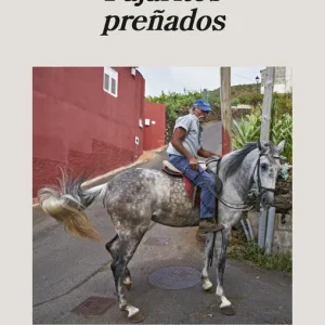 Pajaritos preñados Abreu, Andrea 2026