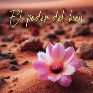 EL PODER DEL BIEN BARILLARI,VANESA 2024
