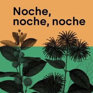 Noche, noche, noche 2026