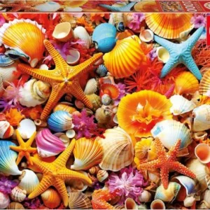 PUZZLE 1000 PIEZAS COLLAGE DE CONCHAS