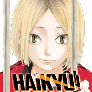 Haikyû!! nº 35/45 Furudate, Haruichi 2025