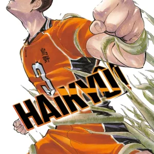 Haikyû!! nº 40/45 Haruichi Furudate 2026