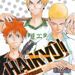 Haikyû!! nº 15 Furudate, Haruichi 2022