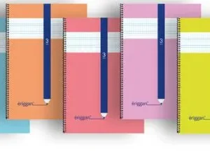 Paq/5 cuaderno espiral fº 80h 90g 3mm cuadrovia tapa polipropíleno colores surtidos eriggan
