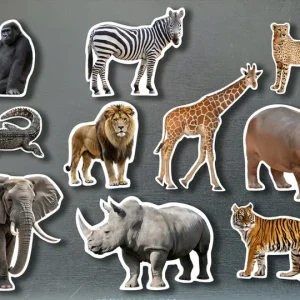 Piezas Magnéticas de Bambú de Animales Salvajes AA.VV.