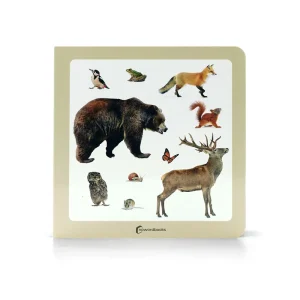 ANIMALES SALVAJES 3 NOWORDBOOKS 2024