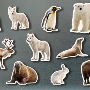 Magnéticos animales polares AA.VV.
