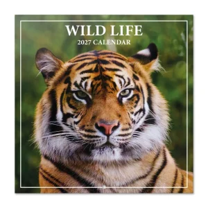 Calendario pared 2027 wildlife 30x30cm