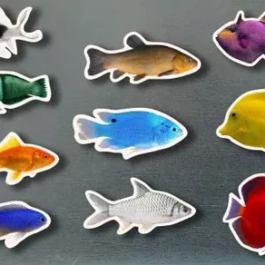 Magnéticos peces de colores AA.VV.