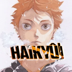 Haikyû!! nº 42/45 2026