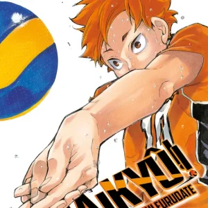 Haikyû!! nº 33/45 Furudate, Haruichi 2025
