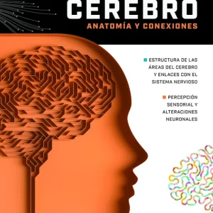 Neurociencia Cerebro Anatomia y Conexiones 2026