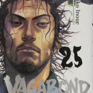 Vagabond,25 Inoue, Takehiko 2015