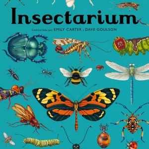 Insectarium AA.VV.