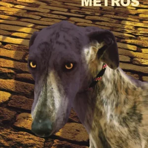 CIEN METROS Saizarbitoria, Ramóm 2017