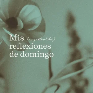Mis (no pretendidas) reflexiones de domingo Alejandra G. Remón 2026