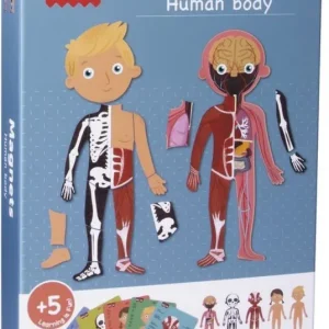 MAGNETICO 63 PIEZAS EL CUERPO HUMANO