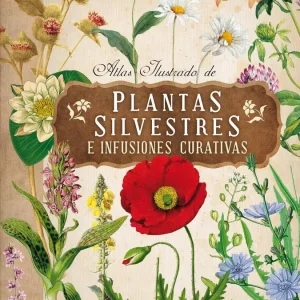 Plantas silvestres e infusiones curativas VV.AA. 2013