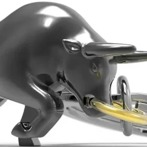 LLAVERO METALMORPHOSE LIFESTYLE TORO